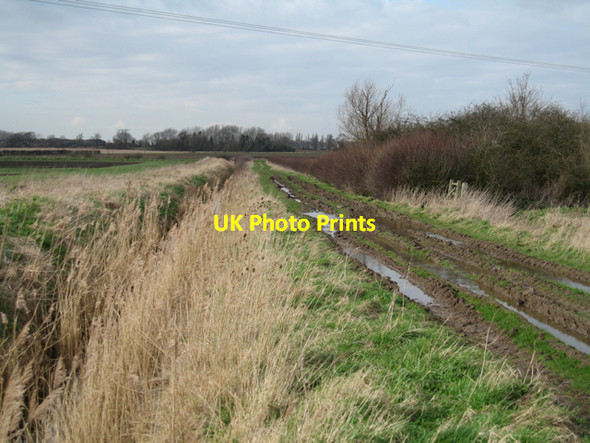 Photo 6"x4" Red Hill Drove, Stretham, Cambs Elford Closes c2007