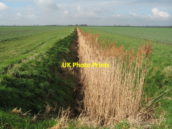 Photo 6"x4" Reedy drain, Lazier Fen, Stretham, Cambs Elford Closes c2007
