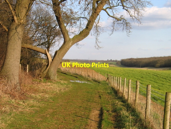 Photo 6"x4" Little Haw Wood from Morkery Wood Castle Bytham c2007