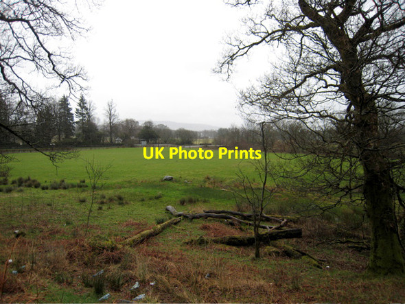 Photo 6"x4" Ross Lodge from A817 Luss c2007