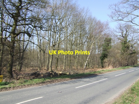 Photo 6"x4" Old Coppice near Boscobel Coldham\/SJ8508 c2007