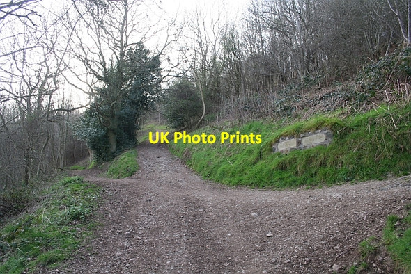 Photo 6"x4" Crossroads, Paths on The Malvern Hills Brand Green\/SO7641 c2007