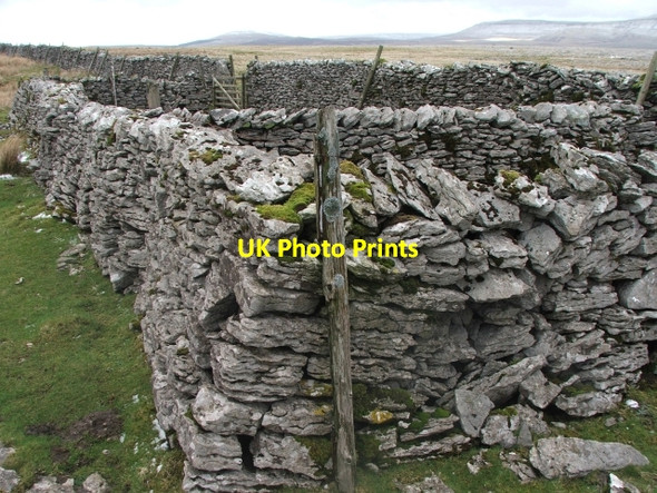 Photo 6"x4" Old Sheepfold on The Allotment. Clapham\/SD7469 c2007