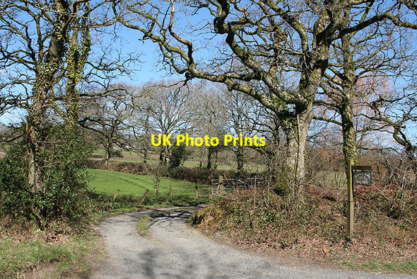 Photo 6"x4" Highampton: entrance to Parker\u00e2\u0080\u0099s Down Highampton c2007