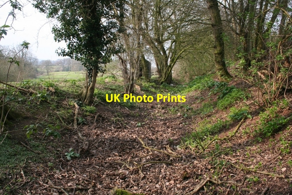 Photo 6"x4" Mill Leat, Welland Hook Bank c2007