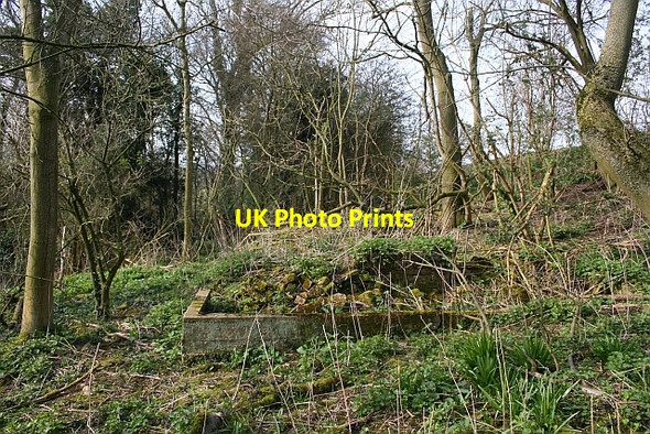 Photo 6"x4" Ruin of the Miller's House, Welland Mill Hook Bank c2007