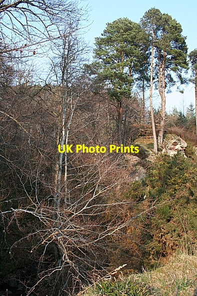 Photo 6"x4" Burn of Sourden Rothes c2007