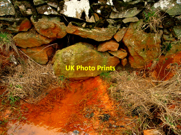 Photo 6"x4" Iron rich spring. Newburgh\/NJ9925 c2007 P1