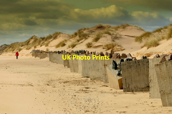 Photo 6"x4" WW2 anti-tank defences on Newburgh beach Newburgh\/NJ9925 c2007