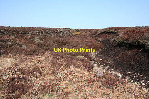 Photo 6"x4" Peat grough, Ronksley Moor Ronksley Moor c2007
