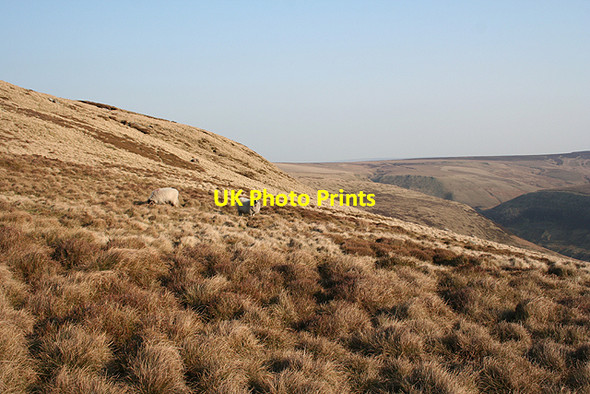Photo 6"x4" Howden Edge Abbey Brook c2007
