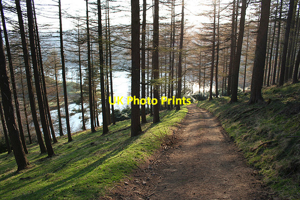 Photo 6"x4" Track to Derwent Reservoir from Nether Hey Nether Hey c2007