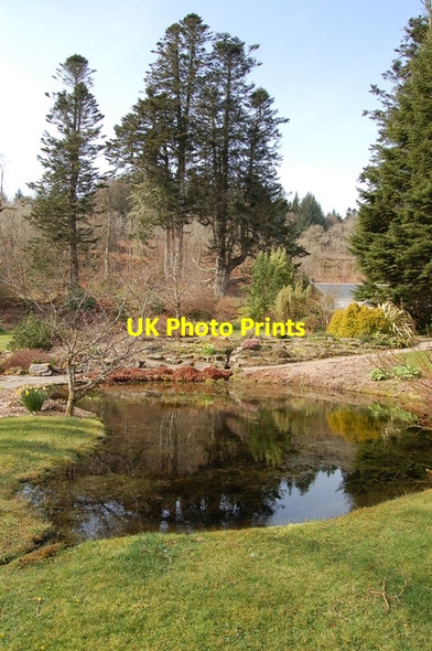 Photo 6"x4" Ornamental pond in Armadale Castle grounds Kilbeg c2007