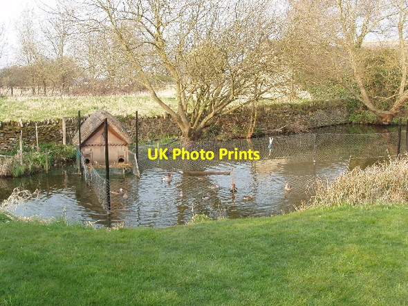 Photo 6"x4" Duck pond Weston-on-the-Green c2007