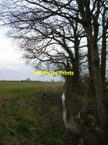 Photo 6"x4" Nell Beck Milby c2007
