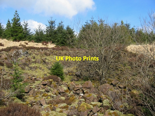 Photo 6"x4" Forestry quarry Peiness c2007