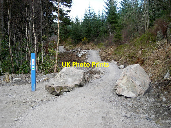Photo 6"x4" Cycle Trail in Dalbeattie Forest Dalbeattie c2007