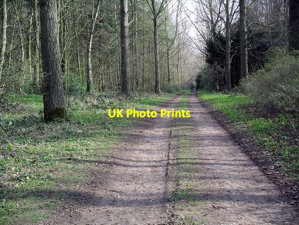 Photo 6"x4" Track, West Wood Broughton\/SE9608 c2007