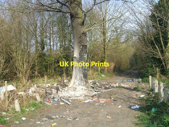 Photo 6"x4" Flytipping on the Monarch's Way Renshaw Wood c2007
