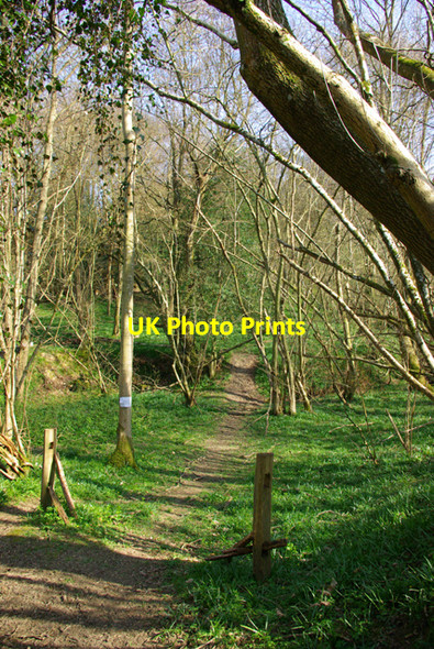 Photo 6"x4" Not a public footpath Butcher's Cross c2007