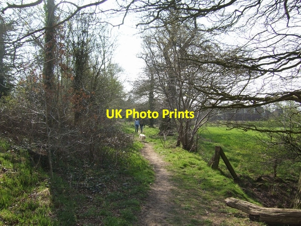 Photo 6"x4" Walkers on the Monarch's Way Renshaw Wood c2007