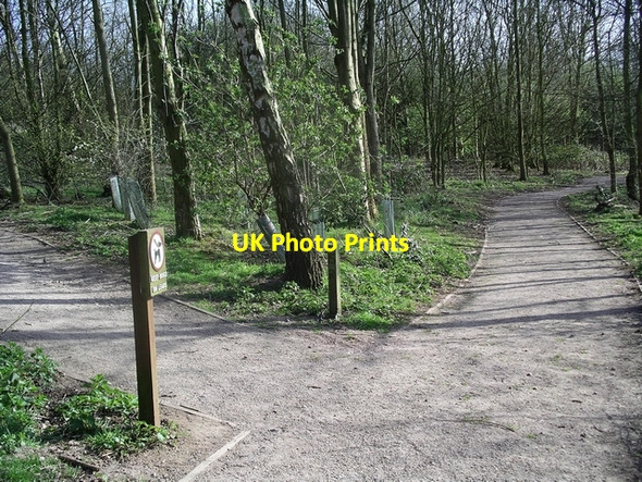 Photo 6"x4" Footpaths by Foremark reservoir Foremark c2007