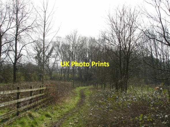 Photo 6"x4" Bridleway from High Legh to Arley Arley c2007