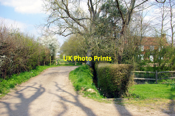 Photo 6"x4" The end of Bubhurst Lane Buckhurst c2007