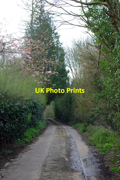 Photo 6"x4" Elmstone Hole Road (1) Boughton Malherbe c2007