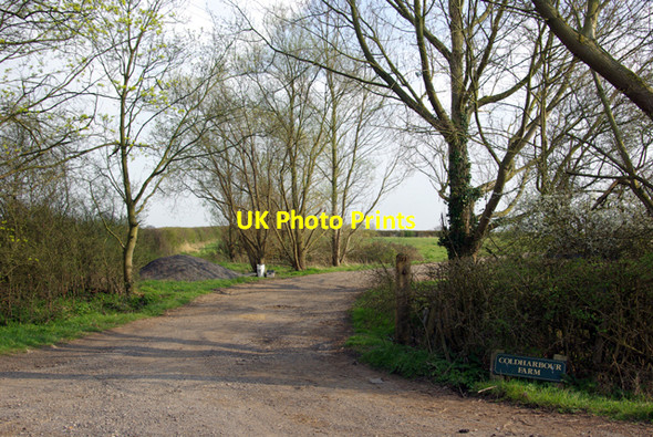 Photo 6"x4" Track to Coldharbour Farm Potter's Forstal c2007