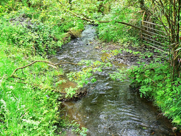 Photo 6"x4" Afon Gronw, Coed Howell Cwmfelin Boeth c2009