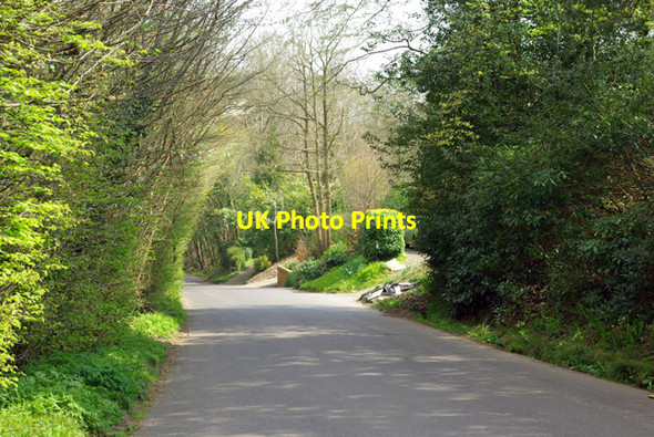 Photo 6"x4" Swain Road, St Michaels Tenterden c2007