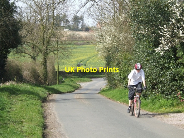 Photo 6"x4" Gentle rise on the road to the village Bromstead Common c2007