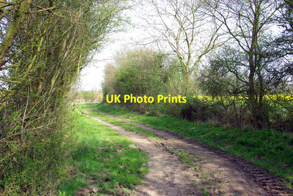 Photo 6"x4" Bridleway from Pleshey to Fanner's Green Fanner's Green c2007