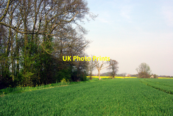 Photo 6"x4" Footpath to Broomfield Blasford Hill c2007