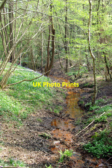 Photo 6"x4" A wealden iron stream Battle\/TQ7416 c2007