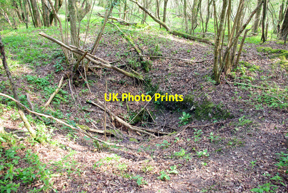 Photo 6"x4" Remains of limestone mine Battle\/TQ7416 c2007