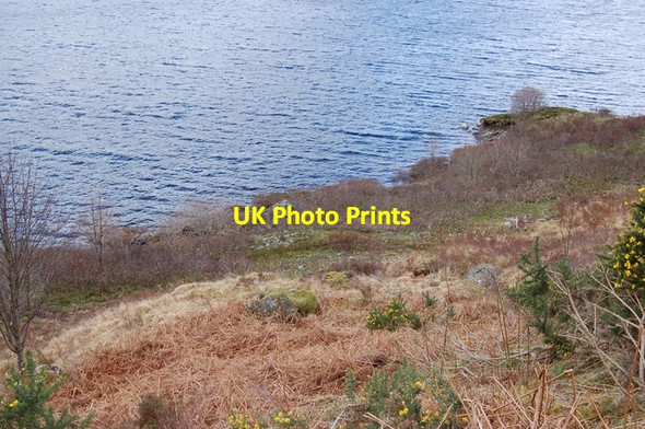 Photo 6"x4" Shoreline of Loch Cluanie Meall Breac\/NH1111 c2007