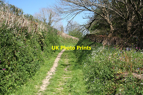 Photo 6"x4" Goodleigh: footpath to the village Goodleigh\/SS5934 c2007