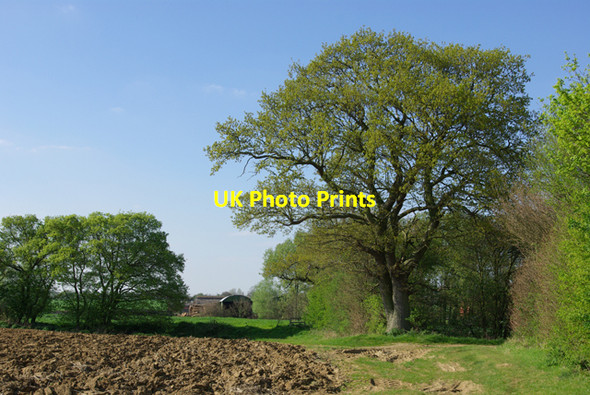 Photo 6"x4" Towards Termitts Farm Witham c2007
