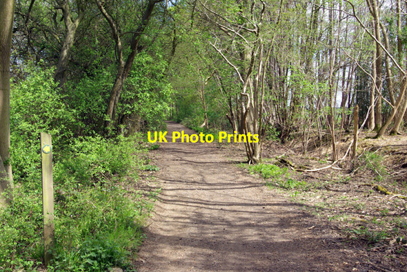 Photo 6"x4" A pleasant byway High Garrett c2007