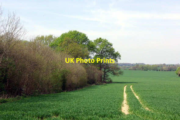 Photo 6"x4" Forstal Shaw and field Barnfield\/TQ9247 c2007
