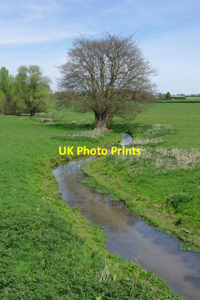 Photo 6"x4" A chalk stream Potters Corner c2007