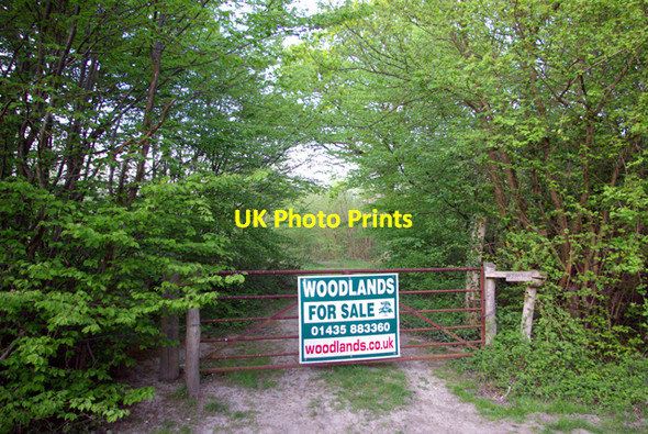 Photo 6"x4" Want a wood? Sly Corner c2007