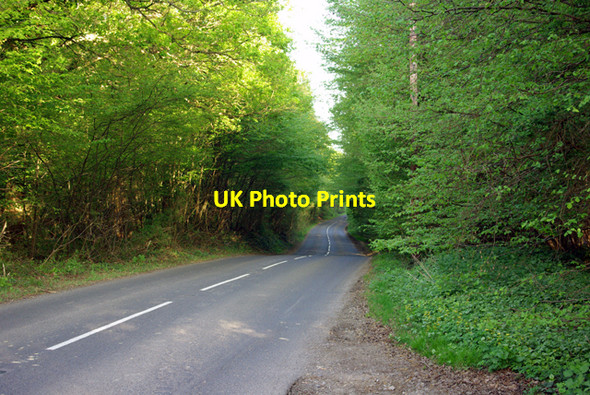 Photo 6"x4" B2067 through the woods Sly Corner c2007