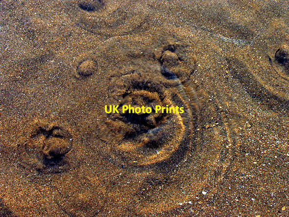 Photo 6"x4" Spring on Caswell Beach Caswell\/SS5987 c2007