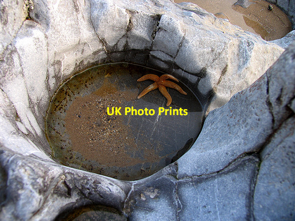 Photo 6"x4" Rock Pool on Caswell Beach Caswell\/SS5987 c2007