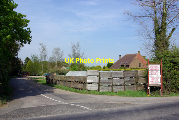 Photo 6"x4" Gibbet Oak Farm Tenterden c2007