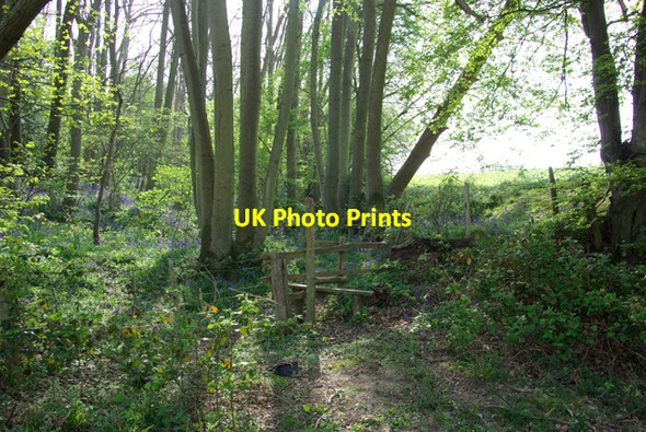 Photo 6"x4" Stile at corner of Frenchay Wood Leigh Green c2007