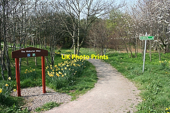 Photo 6"x4" The Webster Way Crofts of Dipple c2007